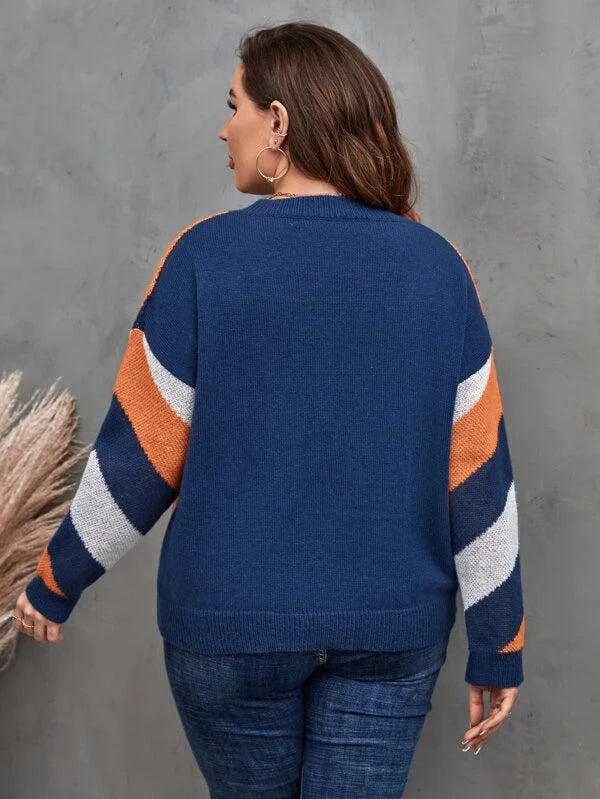 Color Block Pullovers Sweater