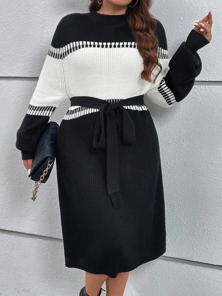 Colorblock Belted Sweater Dress