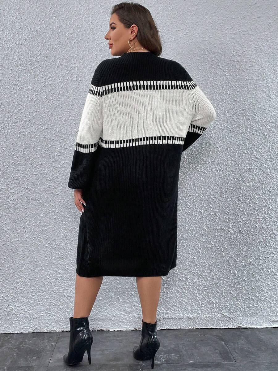 Colorblock Belted Sweater Dress