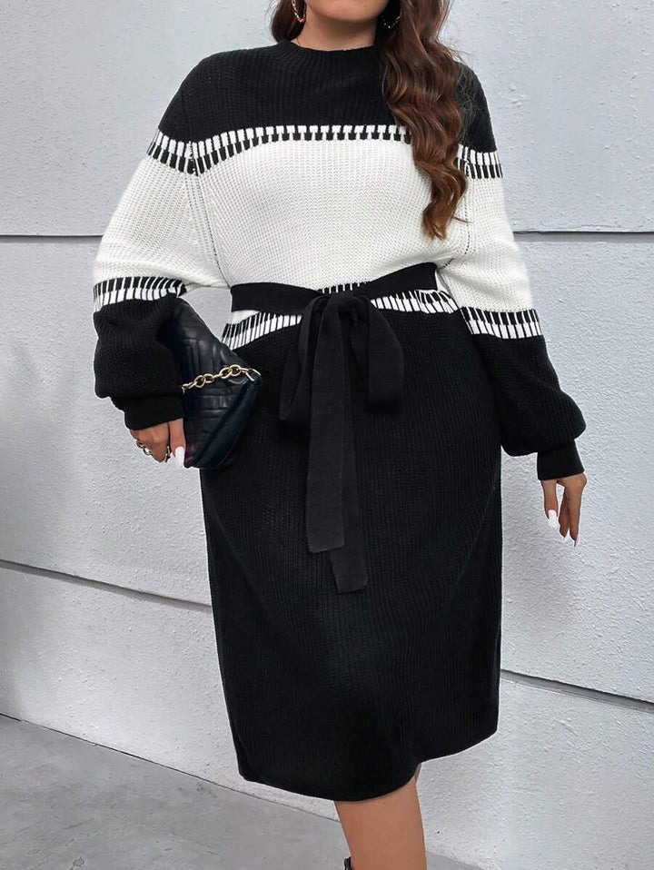 Colorblock Belted Sweater Dress