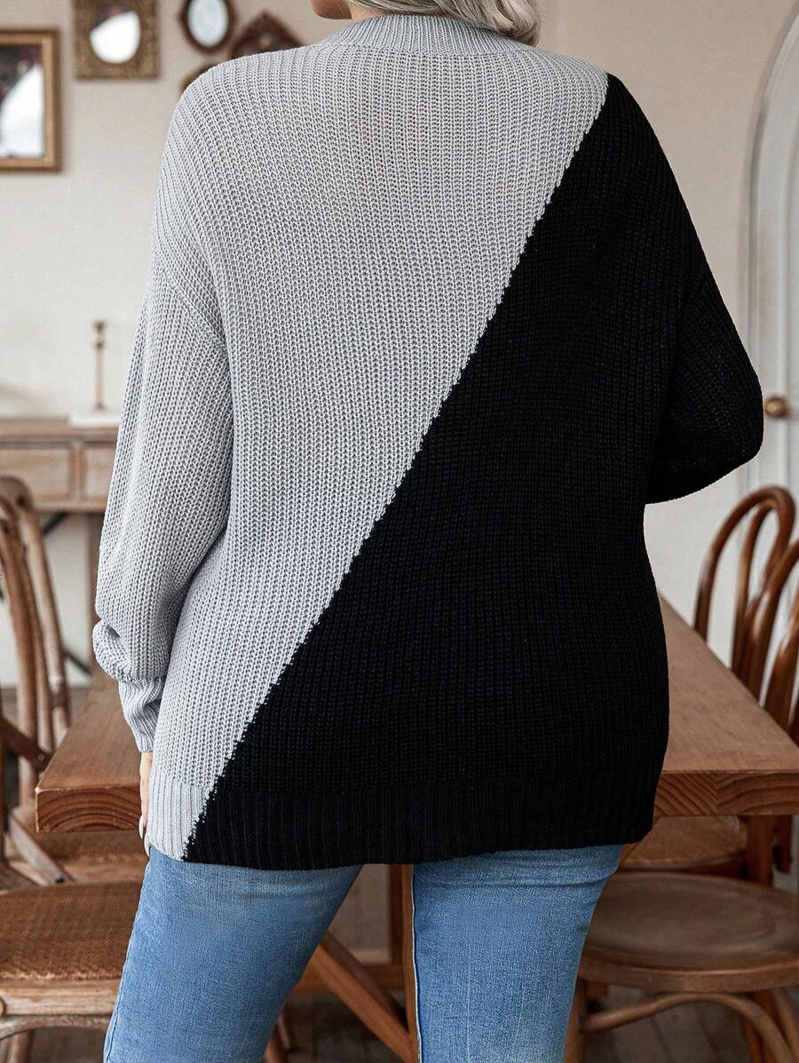 Plus Size Colorblock Sweater With Pearl Detail