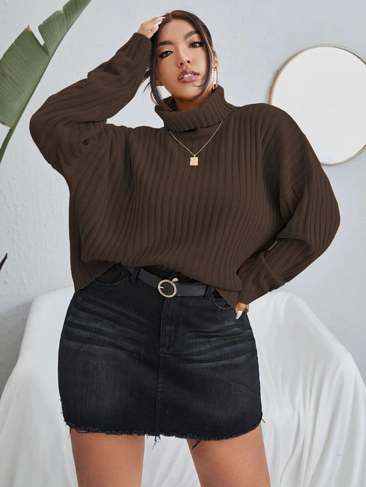 Rib Knit Long Sleeve Sweater