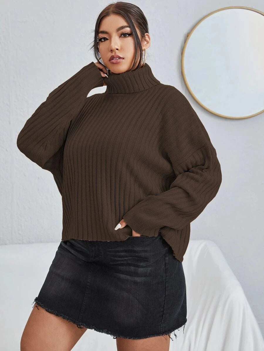 Rib Knit Long Sleeve Sweater