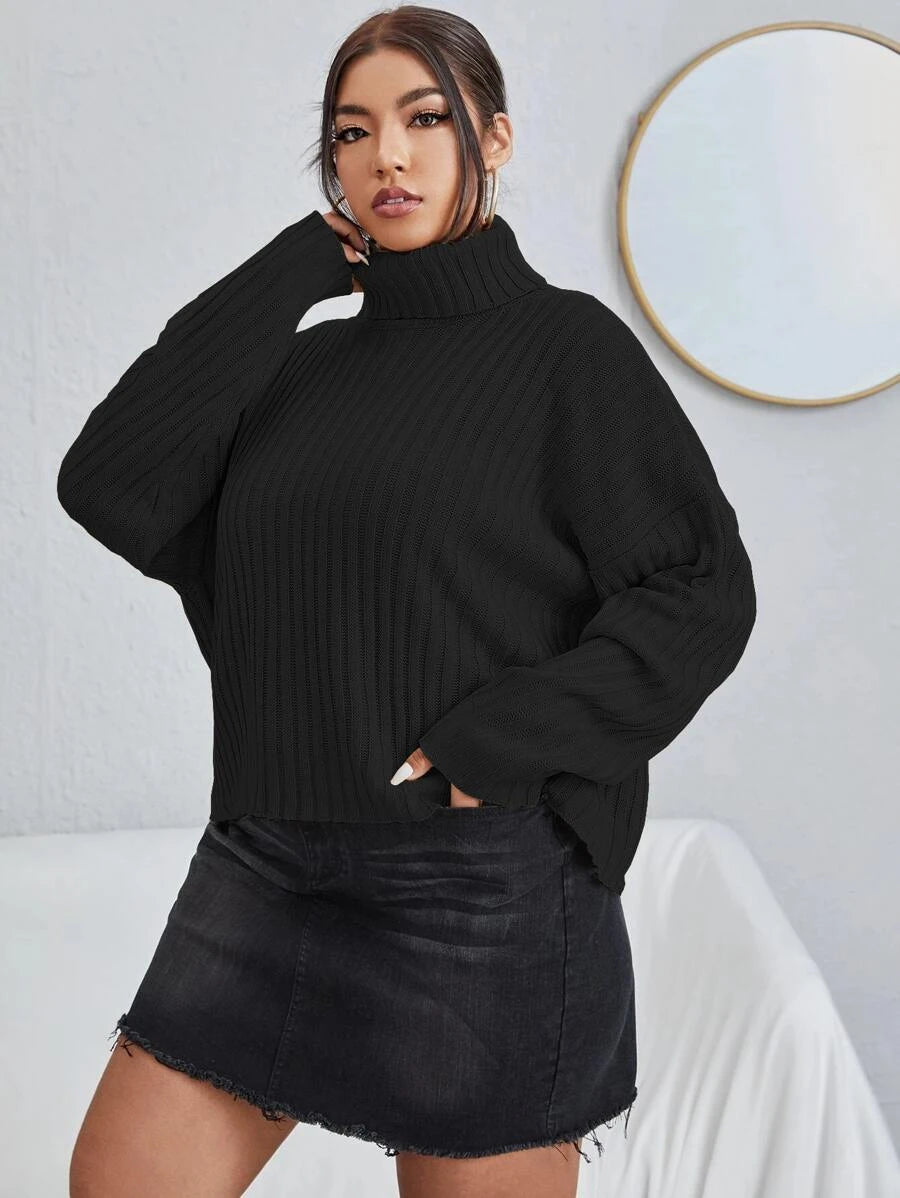 Rib Knit Long Sleeve Sweater