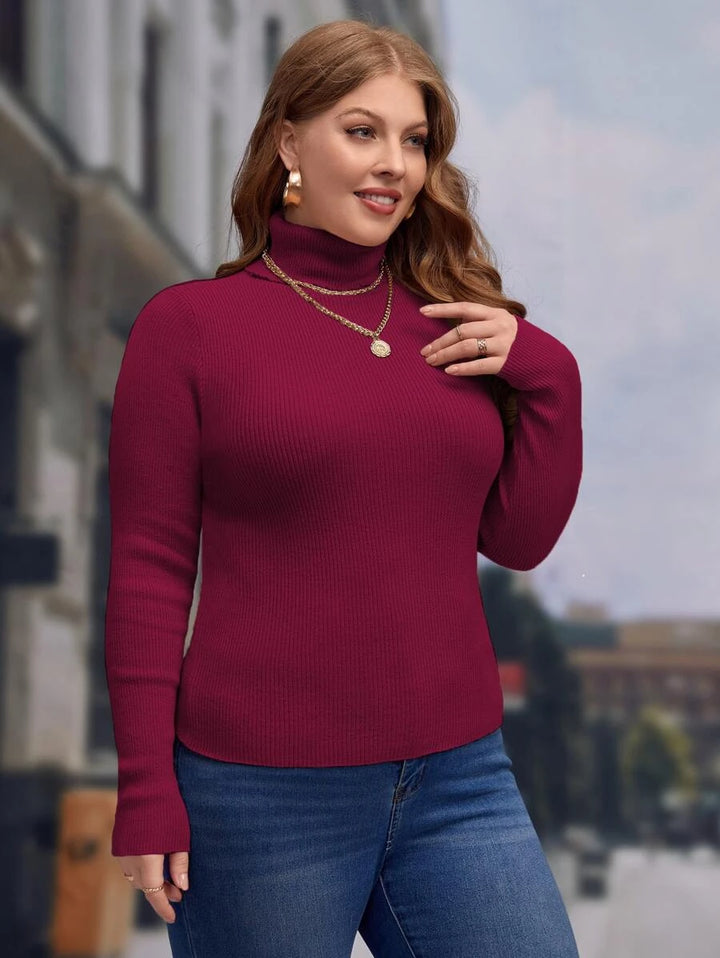 Long Sleeve Ribbed Knit Sweater